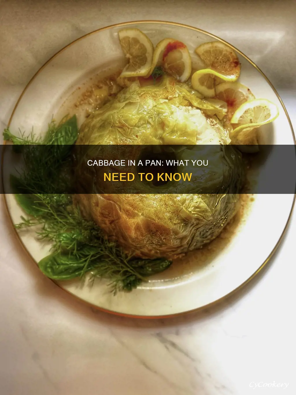 can you put cabbage in a pan