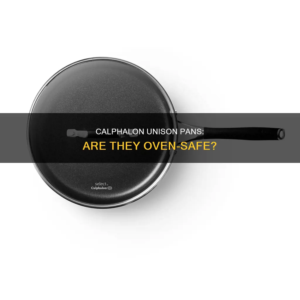 can you put calphalon unison pans in the oven