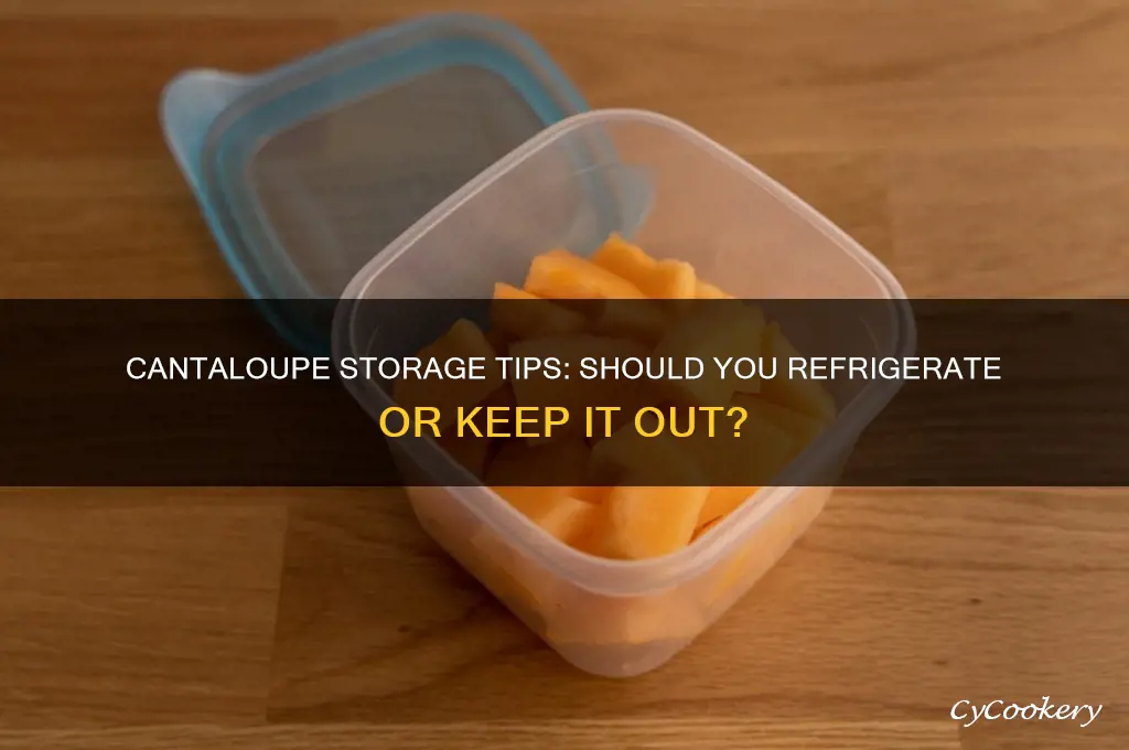 can you put cantaloupe in the refrigerator