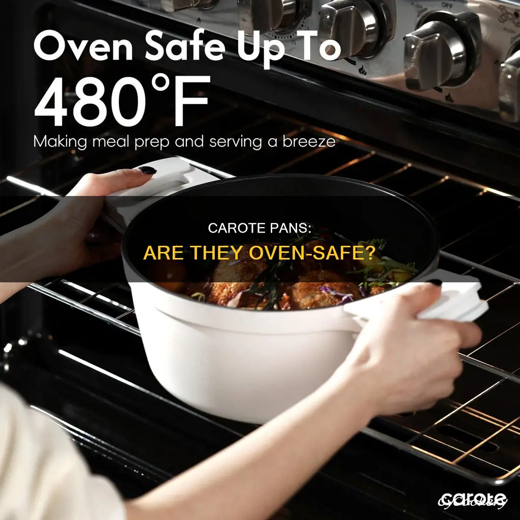 can you put carote pans in the oven