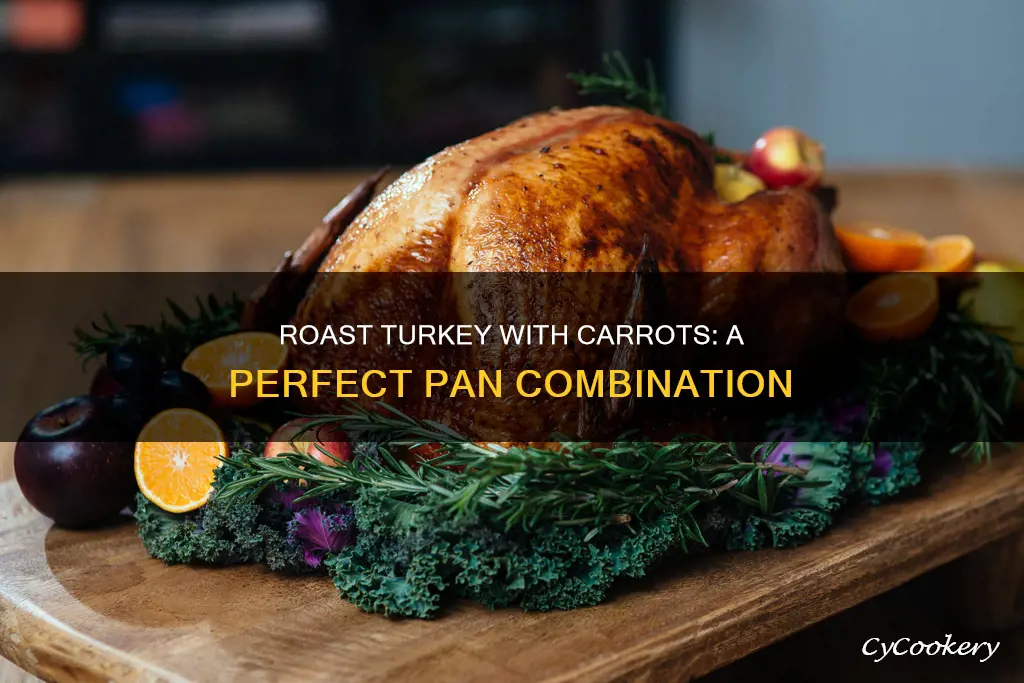 can you put carrots in pan with turkey