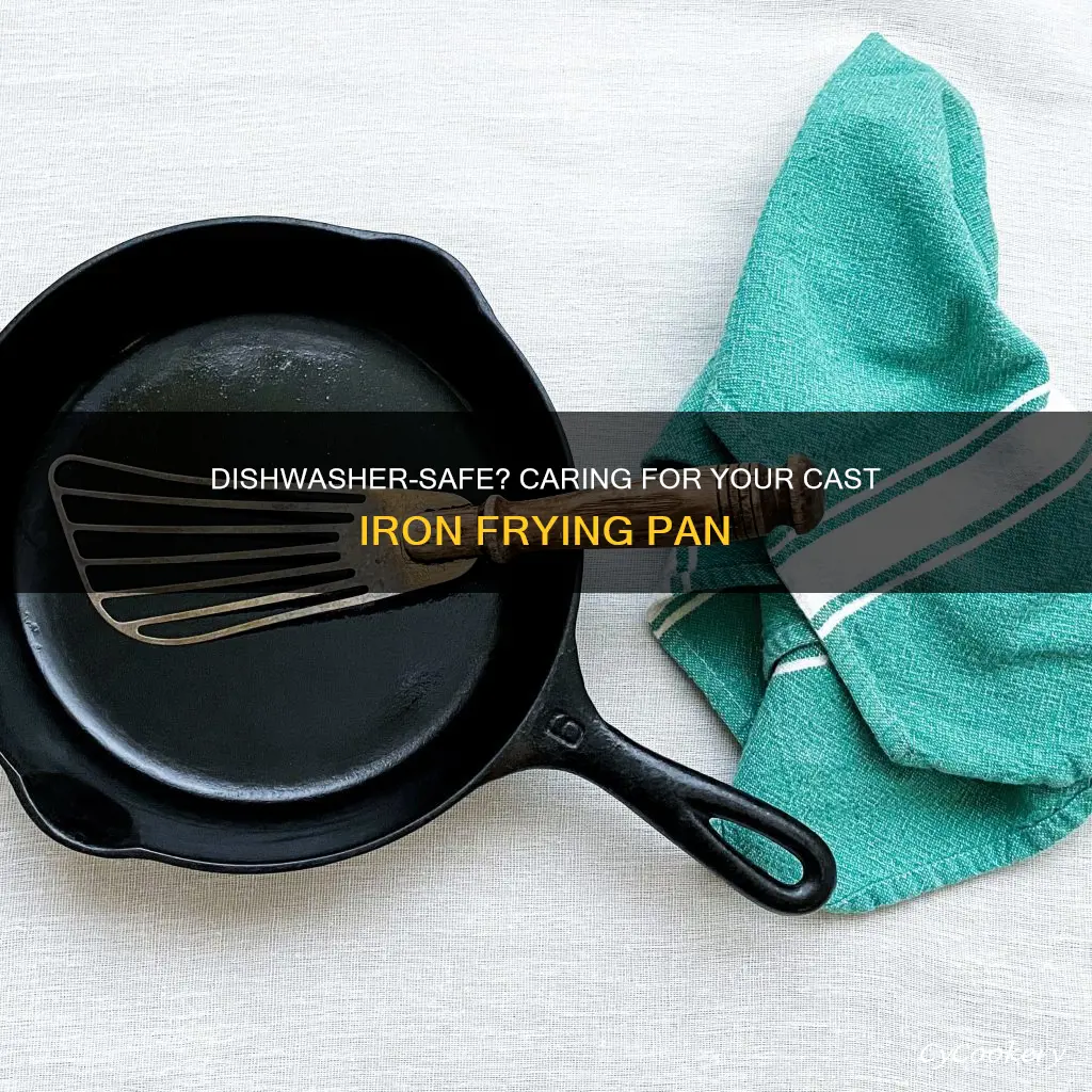 can you put cast iron frying pans in the dishwasher