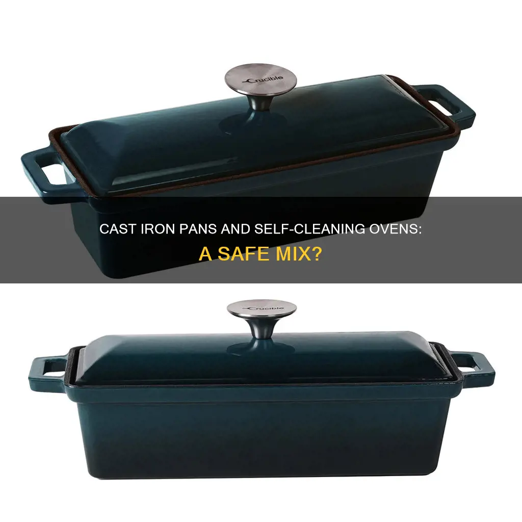can you put cast iron pan in self cleaning oven