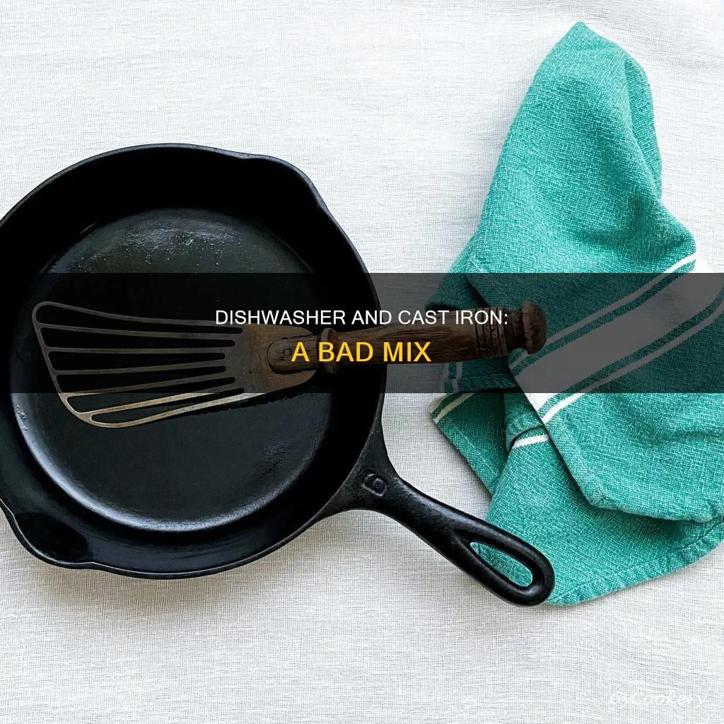 can you put cast iron pans in dishwasher