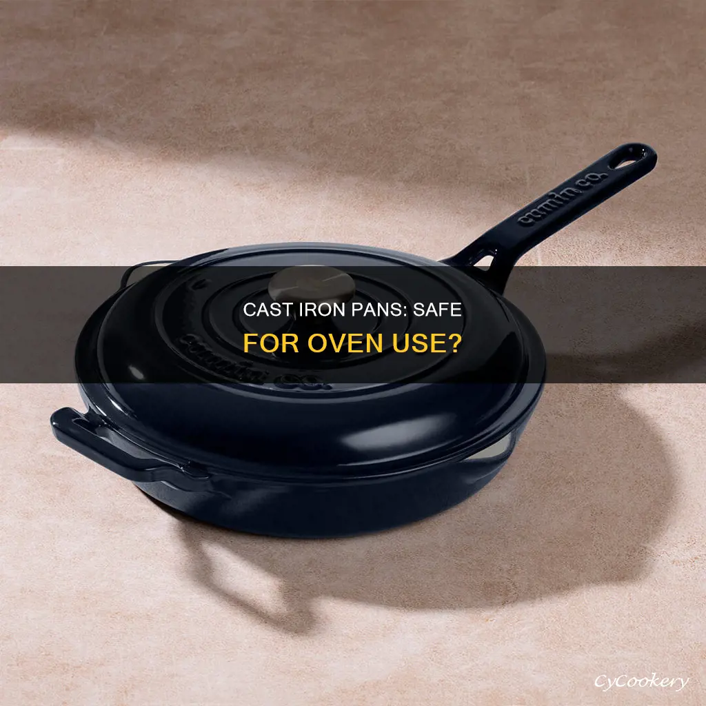 can you put cast iron pans in the oven