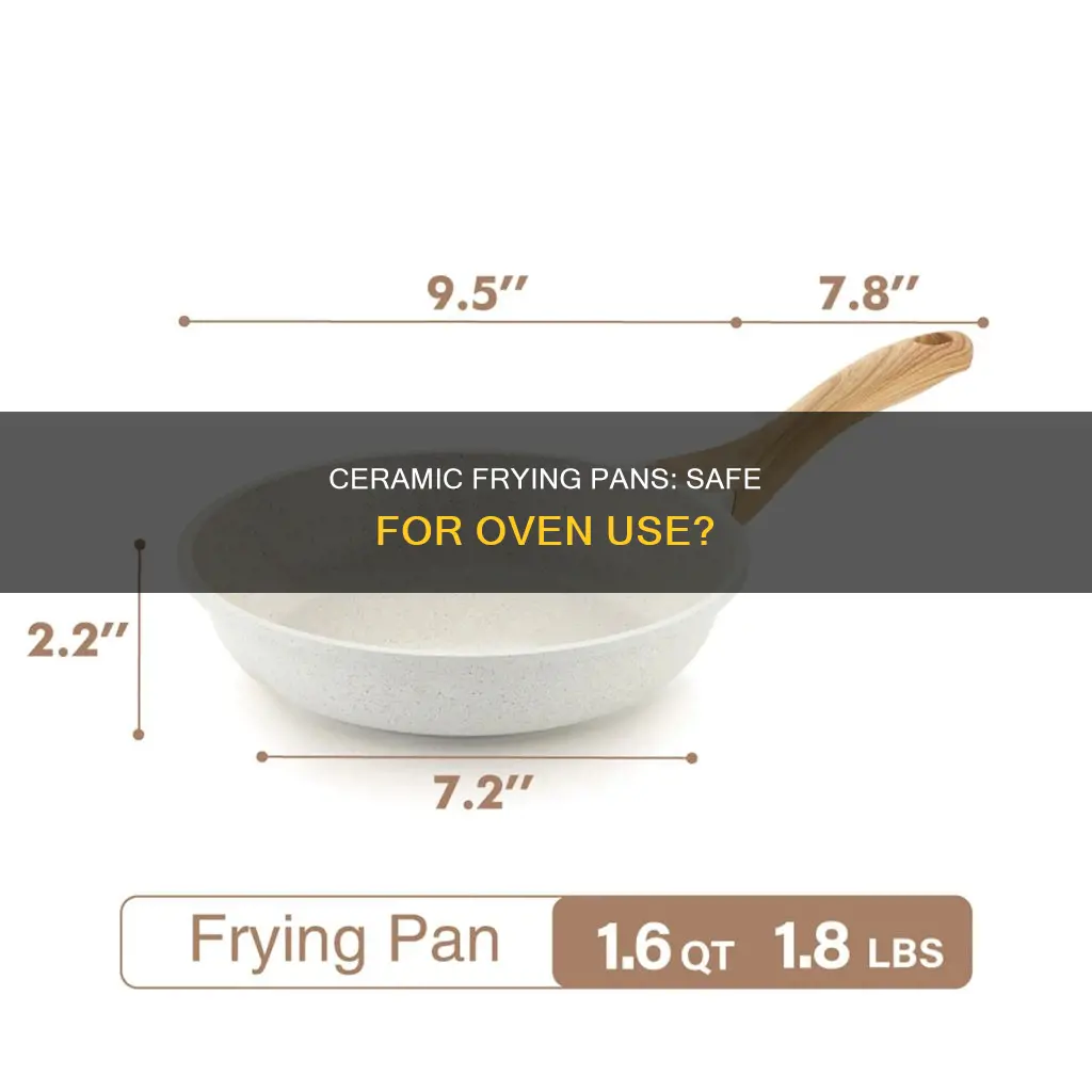 can you put ceramic frying pans in the oven