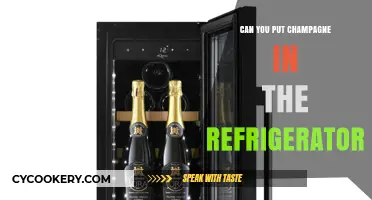 Chilling Champagne: Refrigerator Storage Tips for Perfect Bubbles