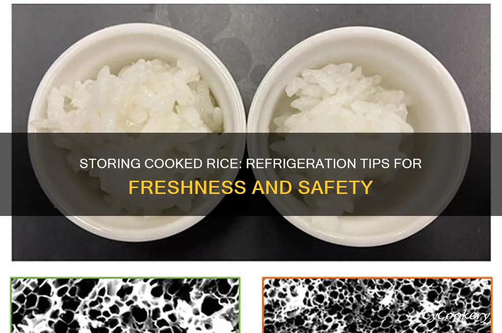 can you put cooked rice in the refrigerator