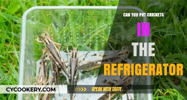 Chilling Crickets: Safe Refrigerator Storage Tips for Your Pet Insects