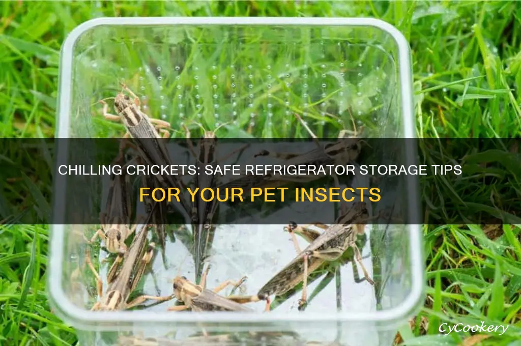 can you put crickets in the refrigerator