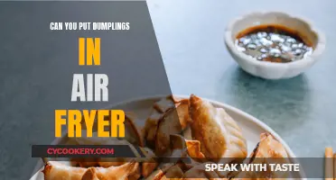 Air Fryer Dumplings: Can You Do It?