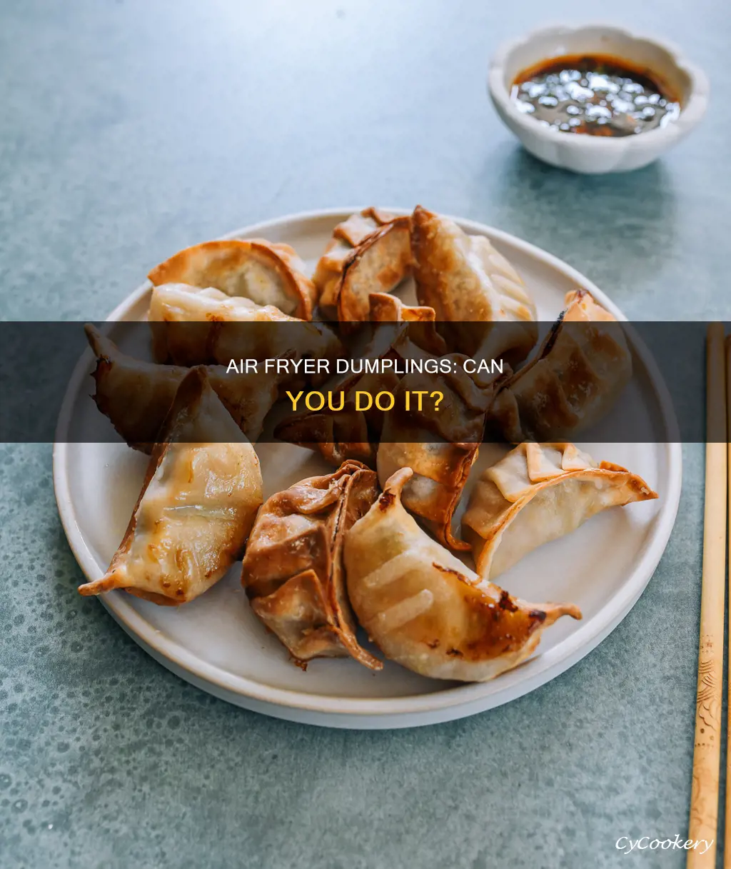 can you put dumplings in air fryer