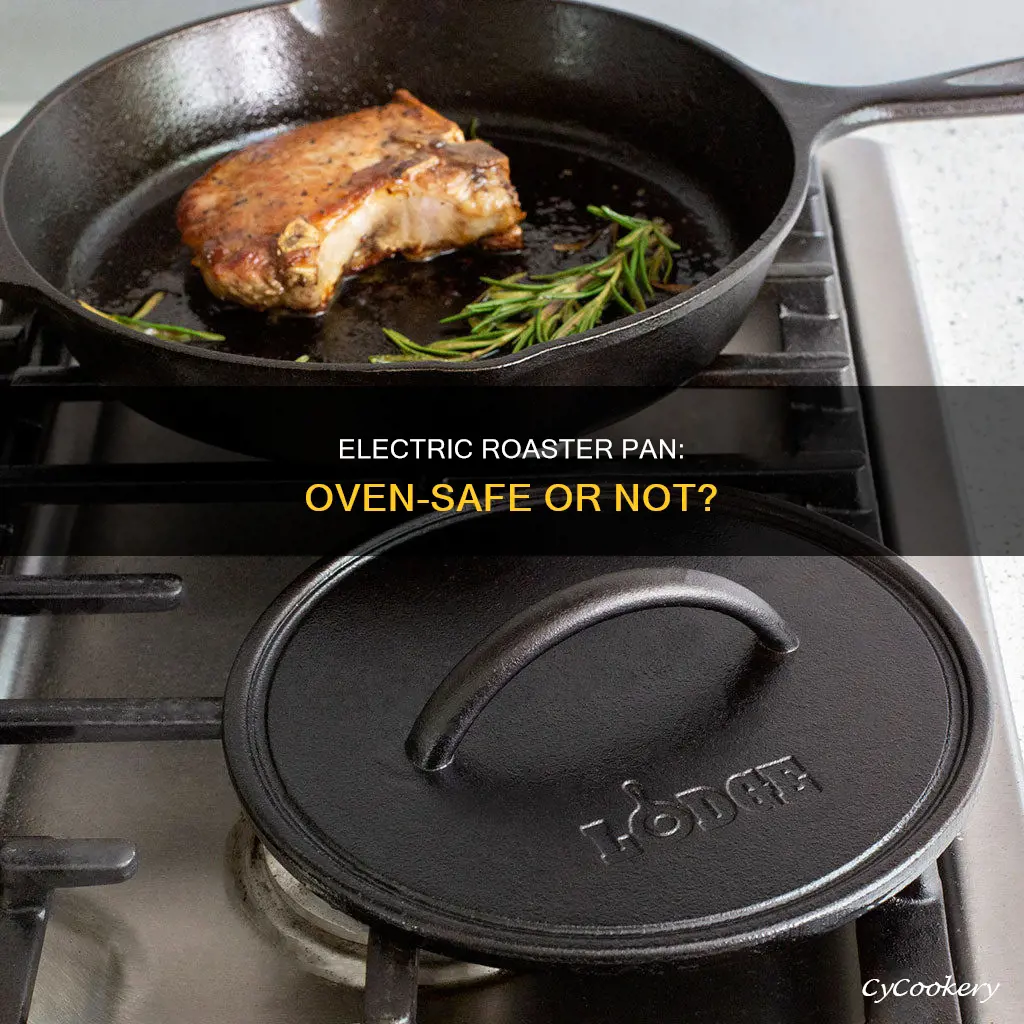 can you put electric roaster pan in conventional oven