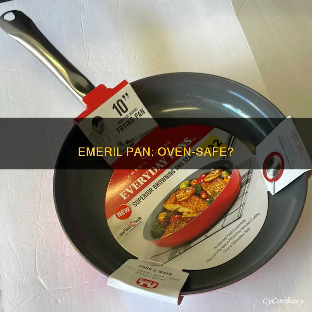 can you put emeril pan in oven