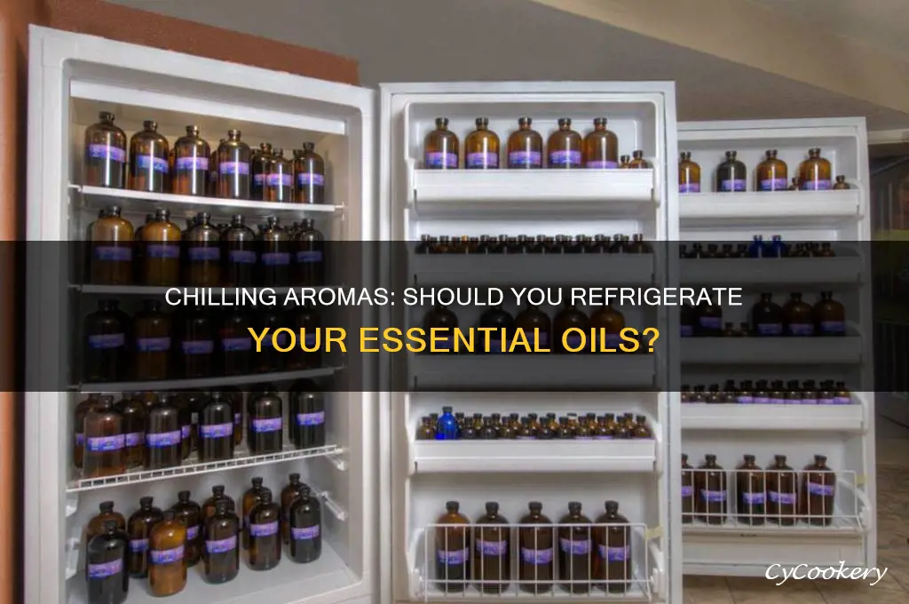 can you put essential oils in refrigerator