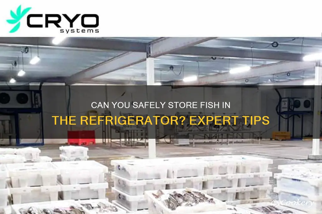 can you put fish in the refrigerator