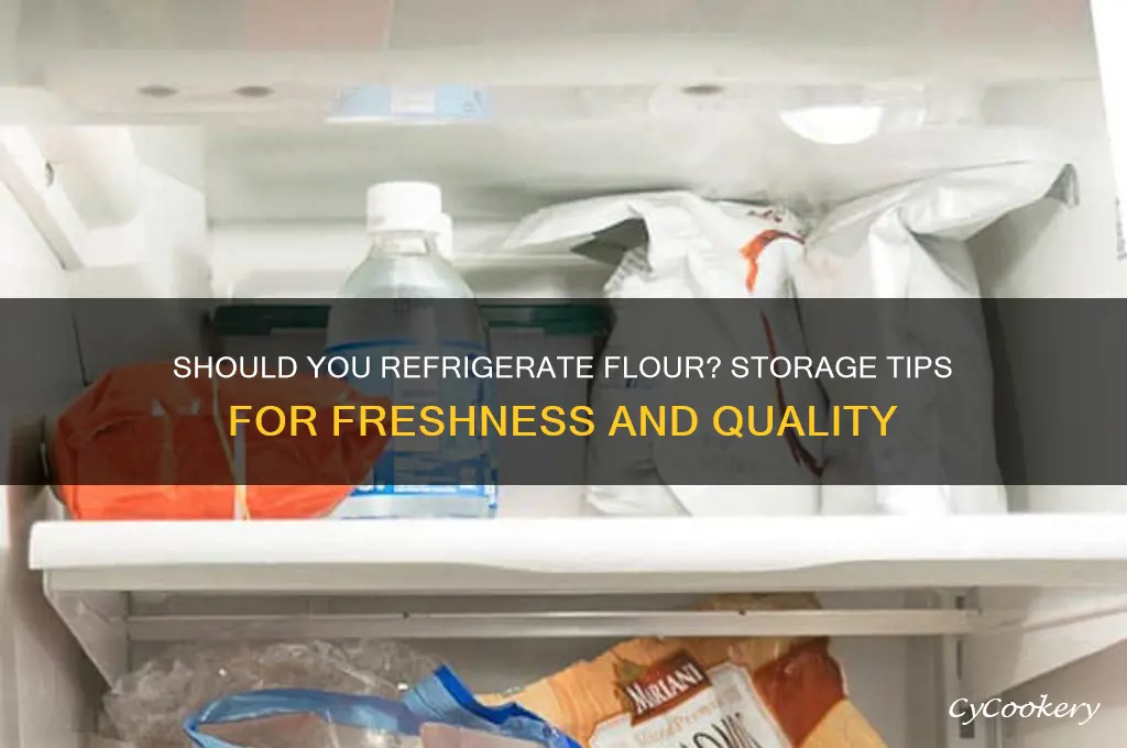 can you put flour in the refrigerator