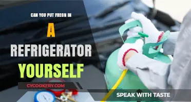DIY Freon Refill: Safe or Risky for Your Refrigerator?