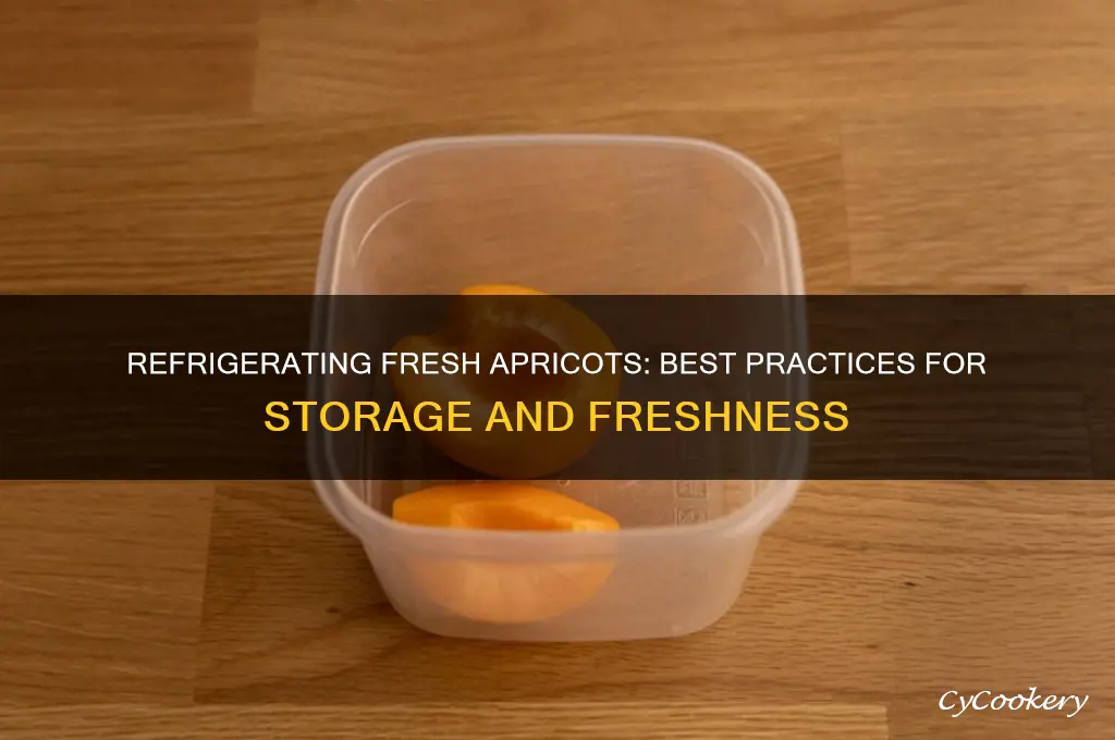 can you put fresh apricots in the refrigerator