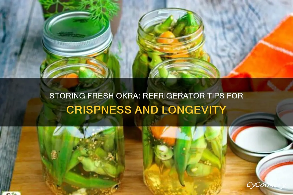 can you put fresh okra in the refrigerator