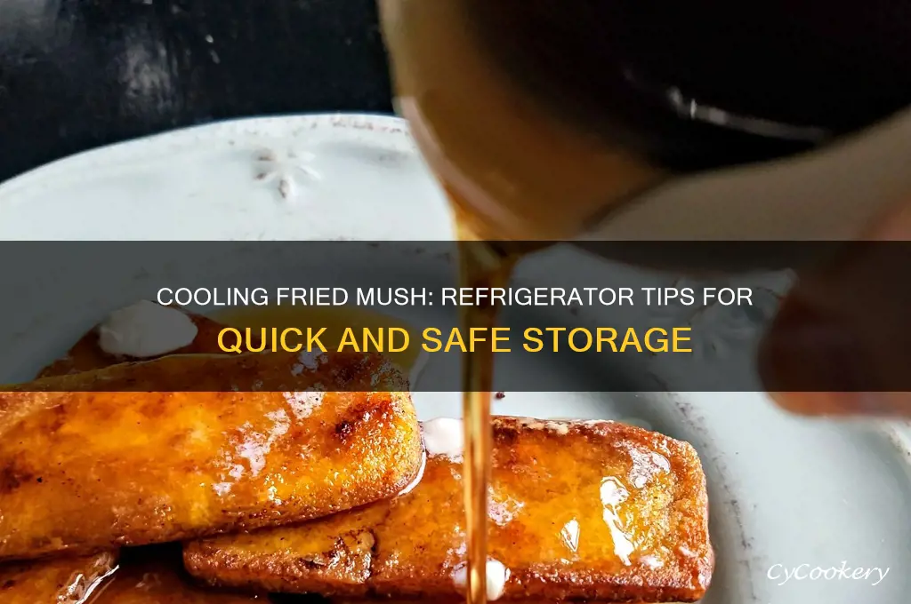can you put fried mosh in refrigerator to cool