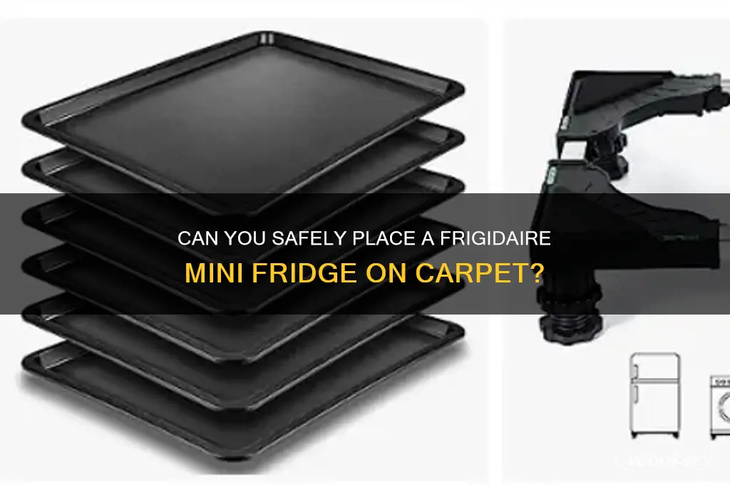 can you put frigidaire mini refrigerator on carpet
