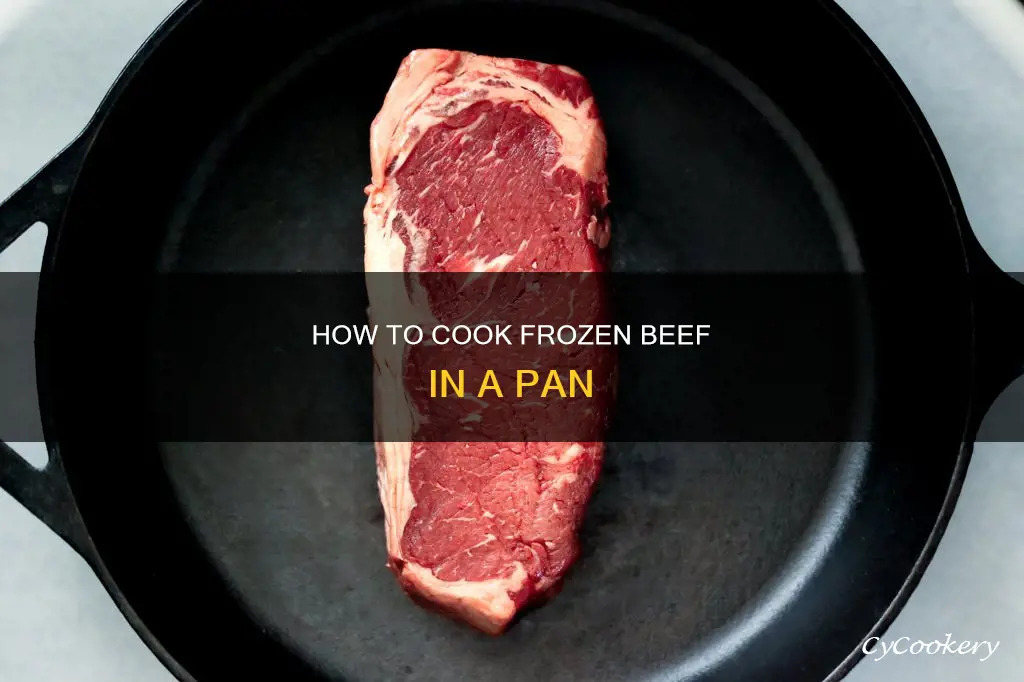 can you put frozen beef in a pan