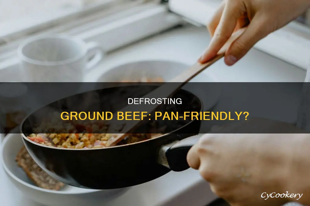 can you put frozen ground beef in a pan