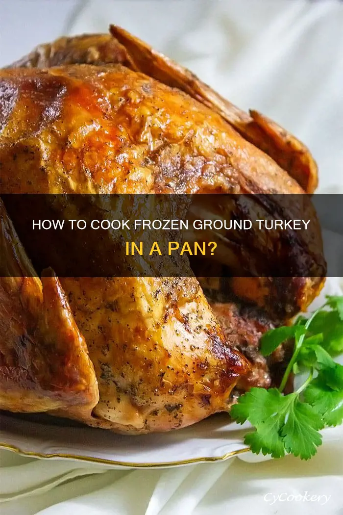 can you put frozen ground turkey in a pan