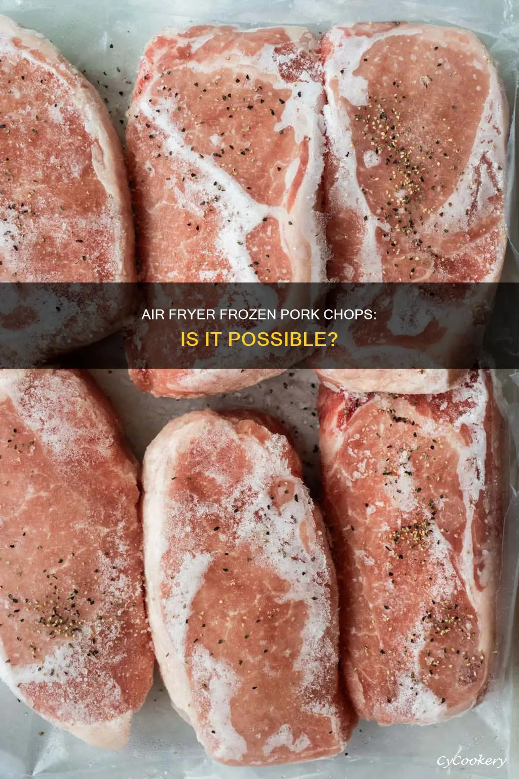 can you put frozen pork chops in an air fryer