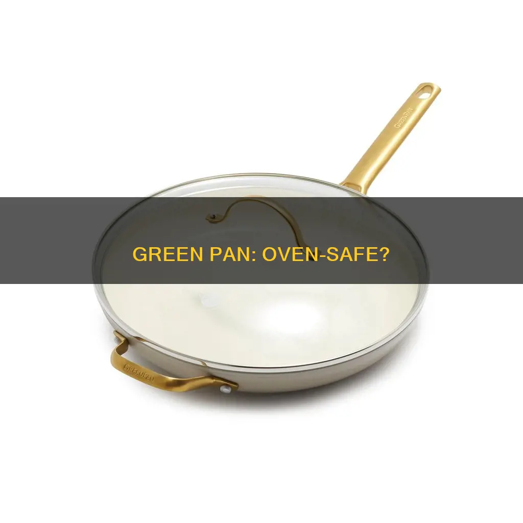 can you put green pan in overn