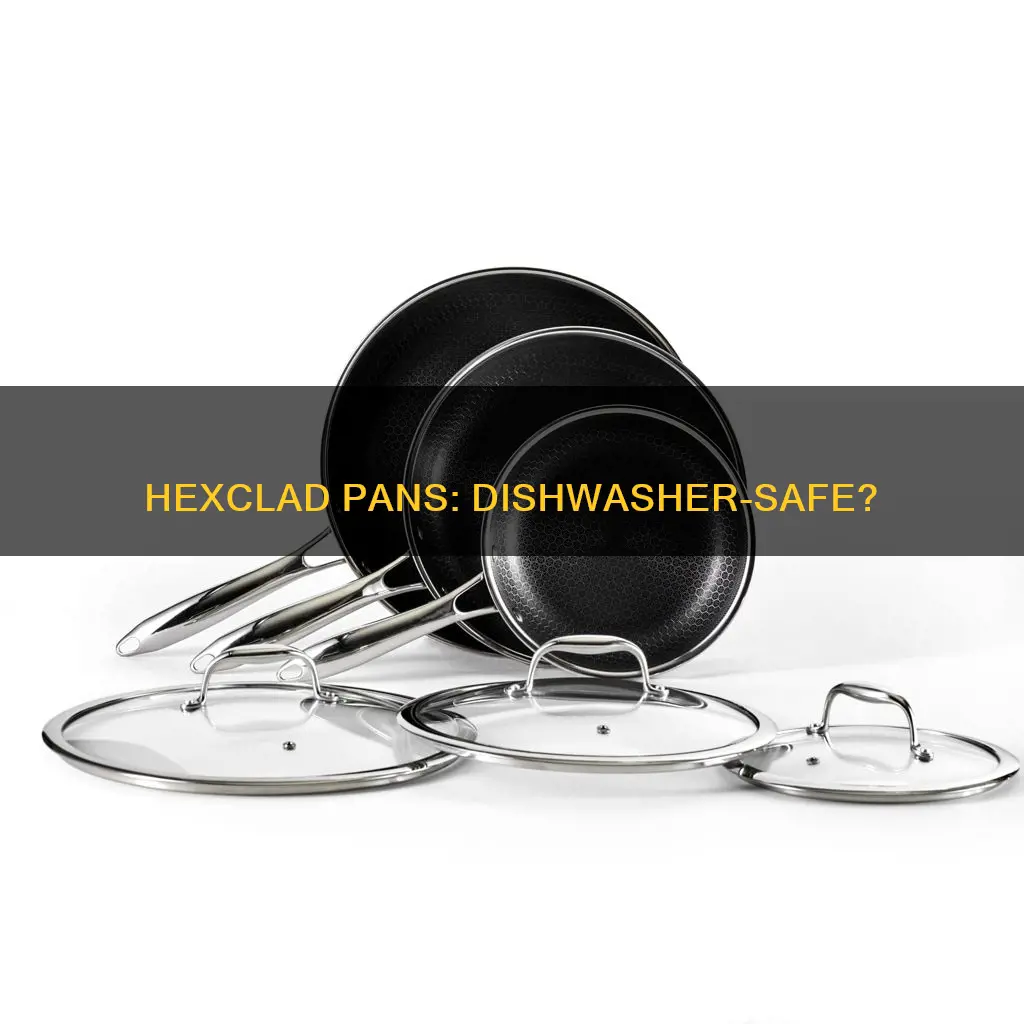 can you put hexclad pans in the dishwasher