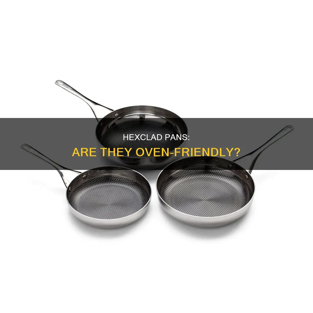 can you put hexclad pans in the oven