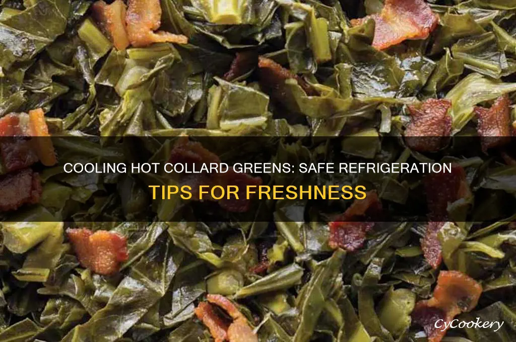 can you put hot collard greens in the refrigerator