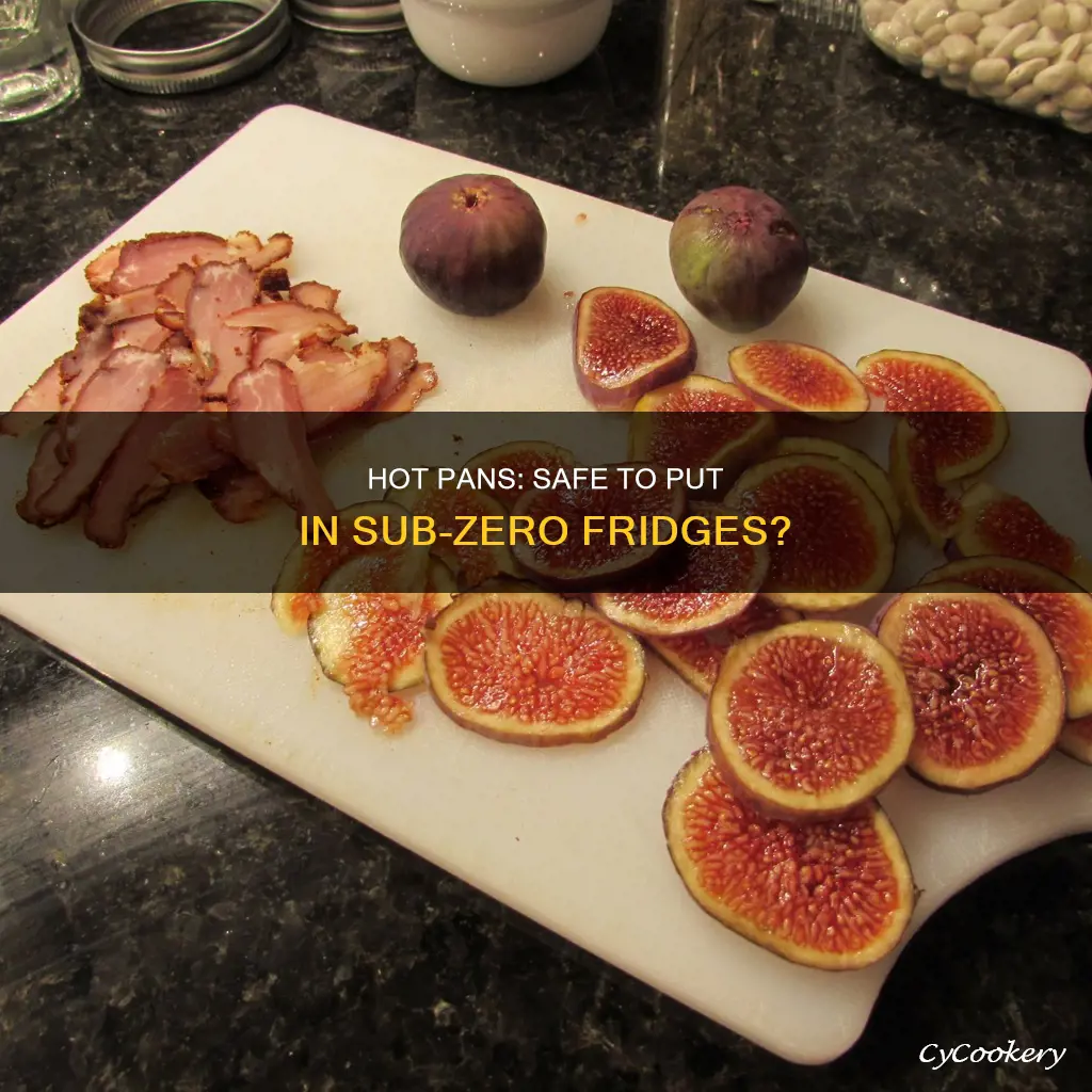 can you put hot pan in a sub zero refrigerator