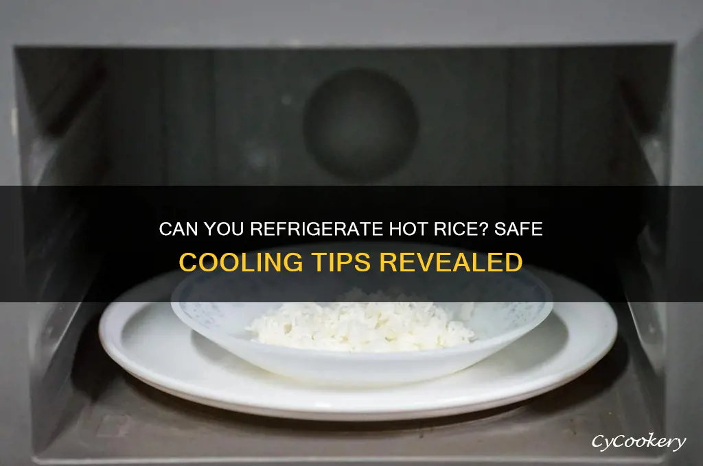 can you put hot rice in refrigerator