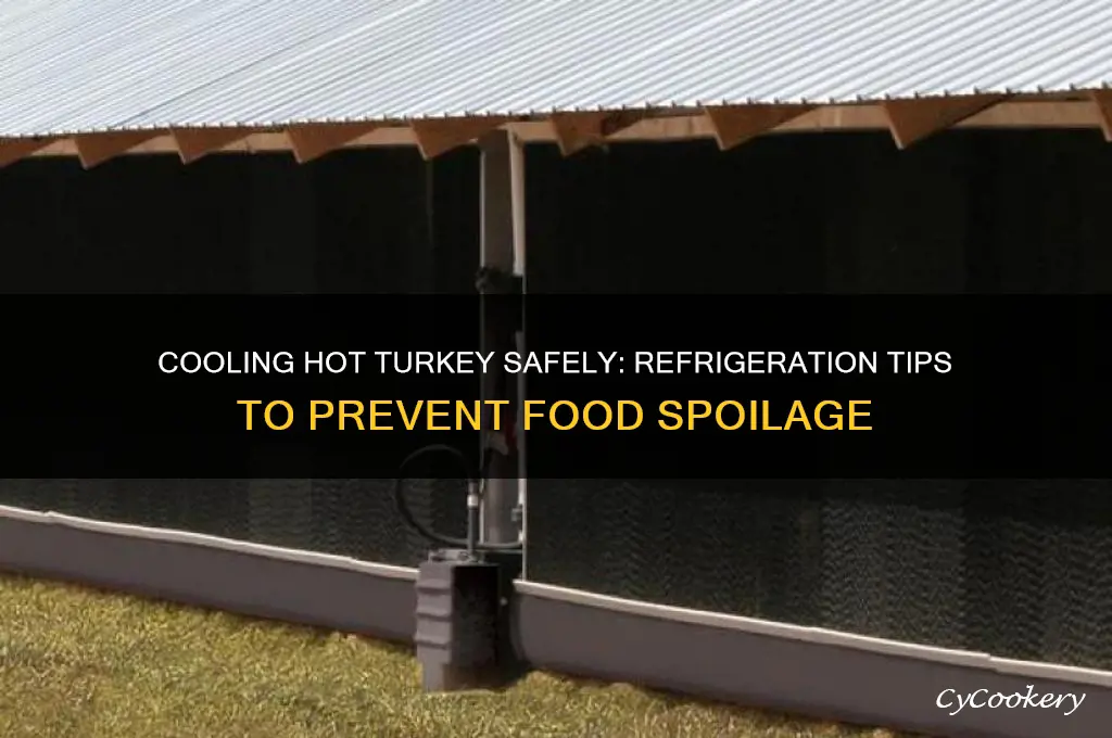 can you put hot turkey in refrigerator