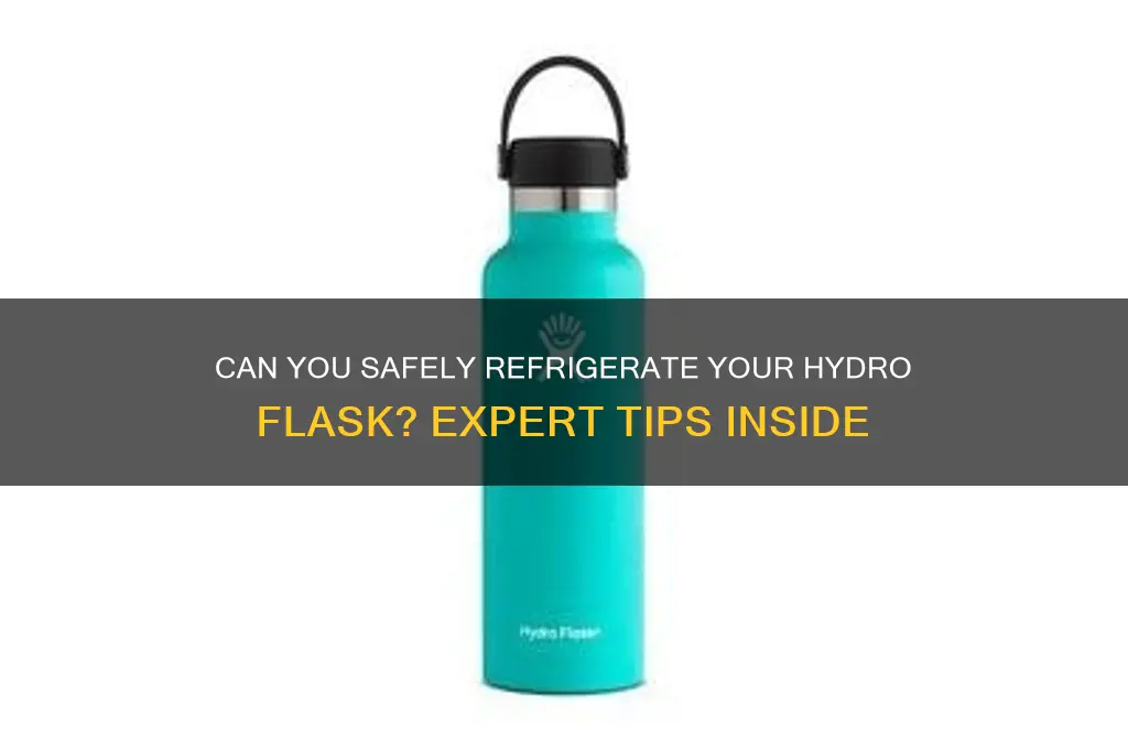 can you put hydro flask in refrigerator