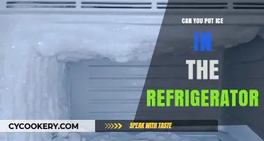 Can You Put Ice in the Refrigerator? Facts and Tips