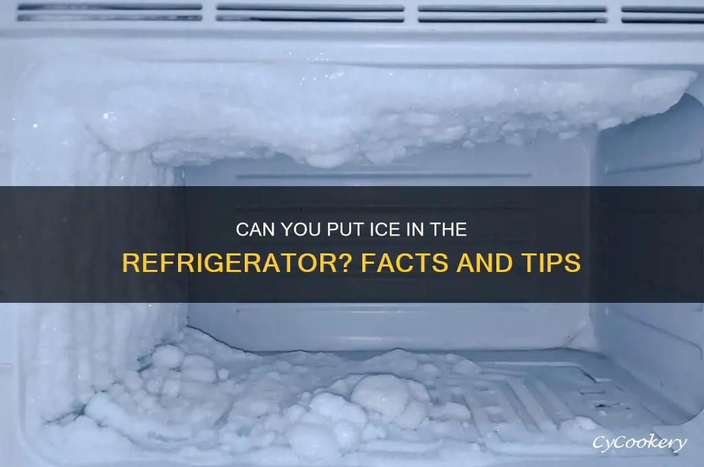 can you put ice in the refrigerator