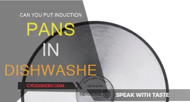 Induction Pans: Dishwasher-Safe or Not?