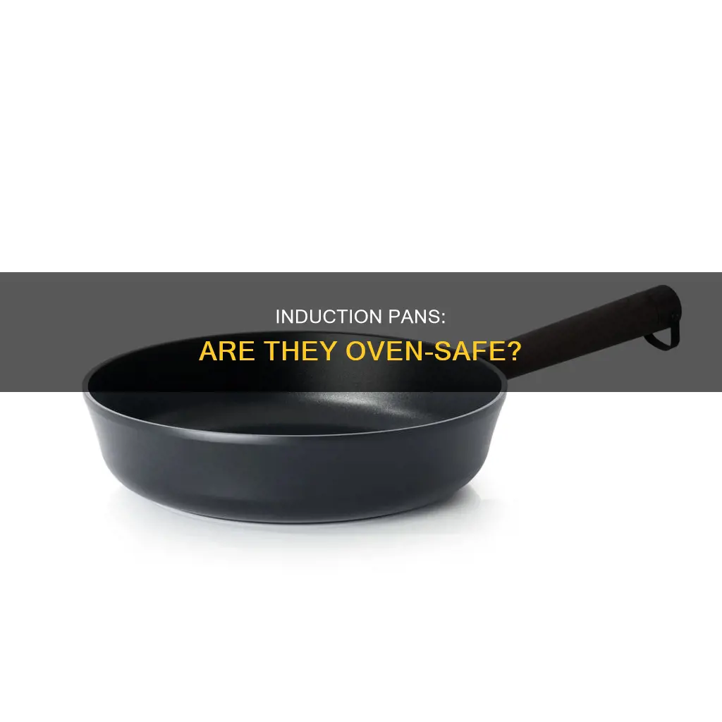 can you put induction pans in the oven