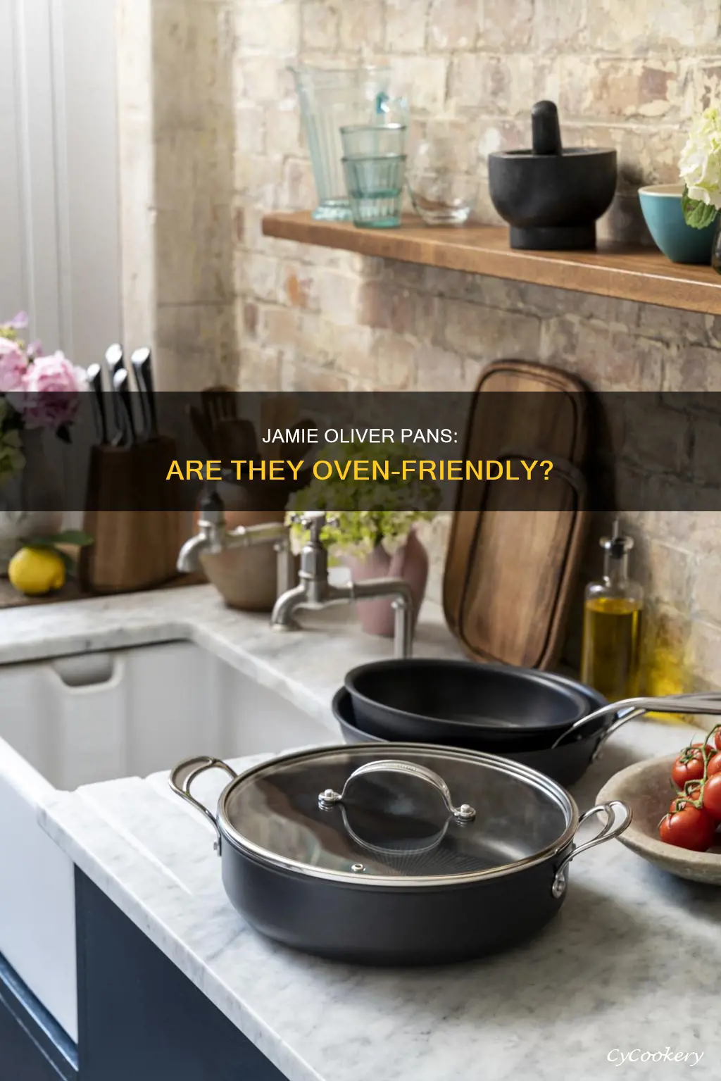 can you put jamie oliver pans in the oven