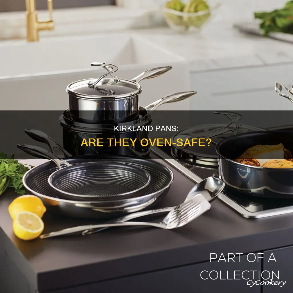 can you put kirkland pans in the oven