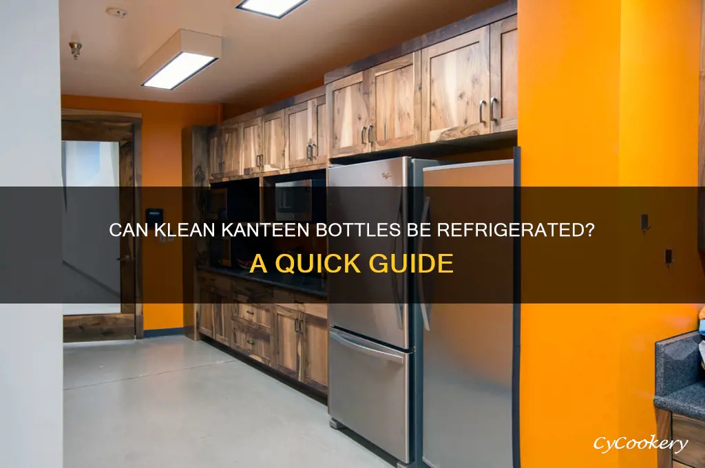 can you put klean kanteen in refrigerator