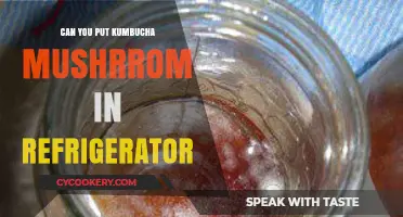 Refrigerating Kombucha Mushrooms: Best Practices for Fermentation and Storage