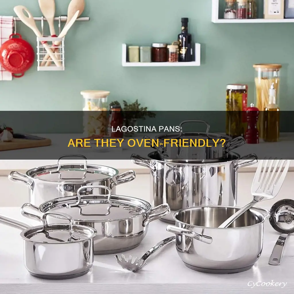 can you put lagostina pans in the oven