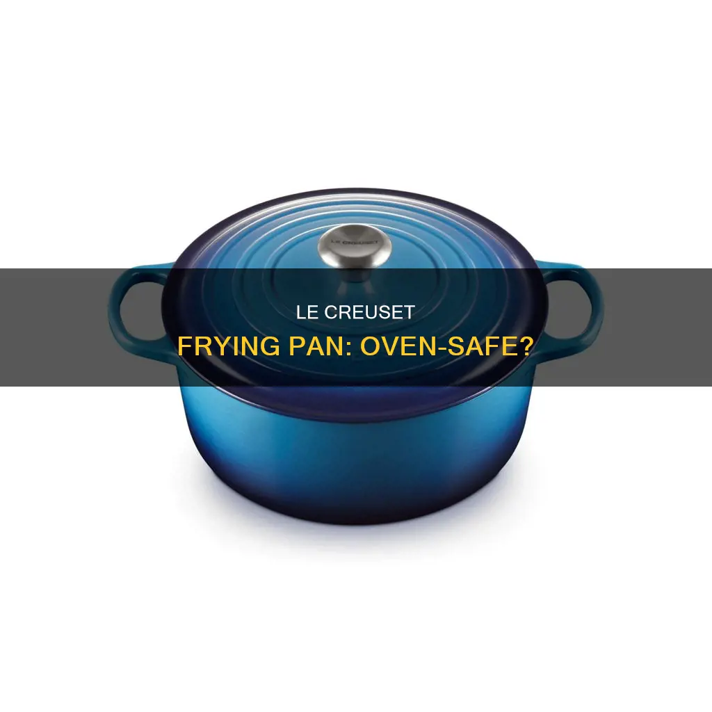 can you put le creuset frying pan in oven