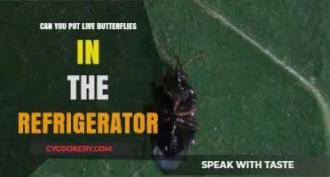 Can Live Butterflies Survive in Your Refrigerator? Facts and Risks