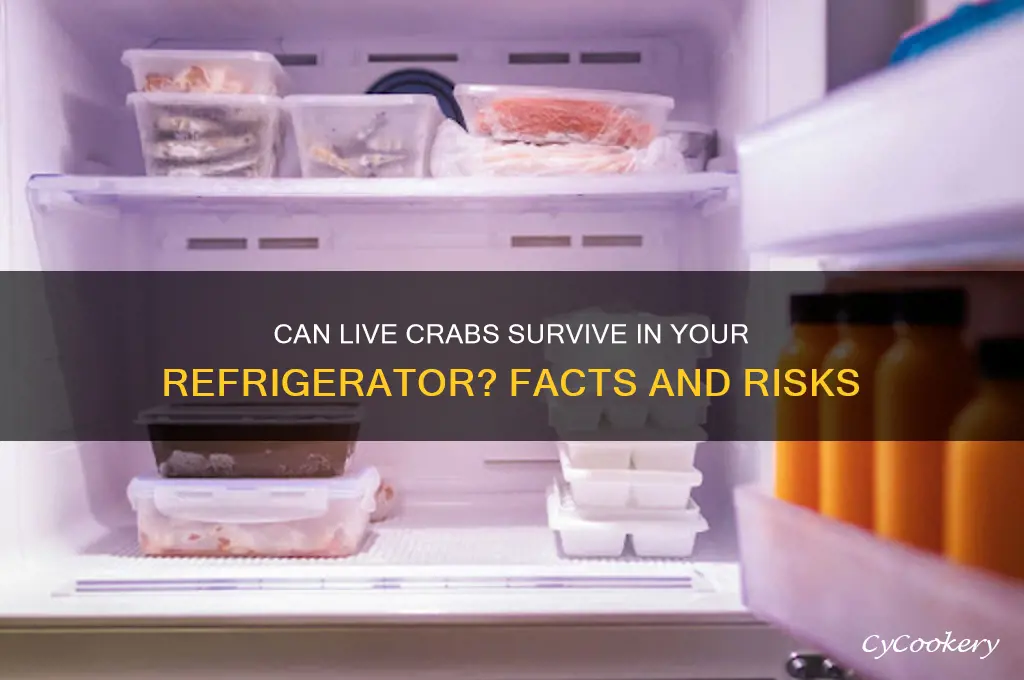 can you put live crabs in the refrigerator